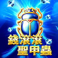 錢滾滾聖甲蟲
