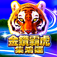 金鑽霸虎-集鴻運