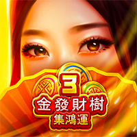 3金發財樹-集鴻運