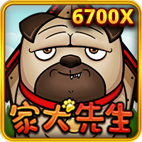 家犬先生