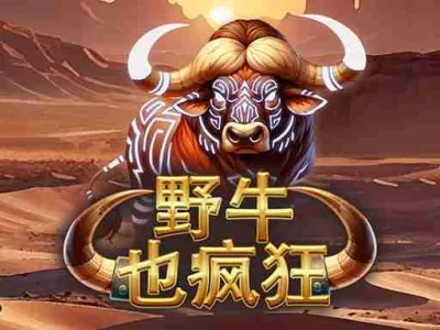 野牛也瘋狂